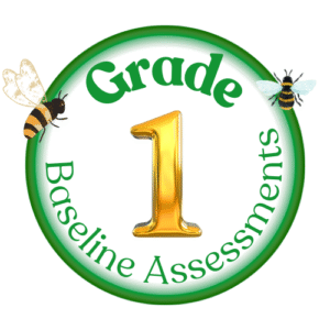 BASELINE ASSESSMENTS